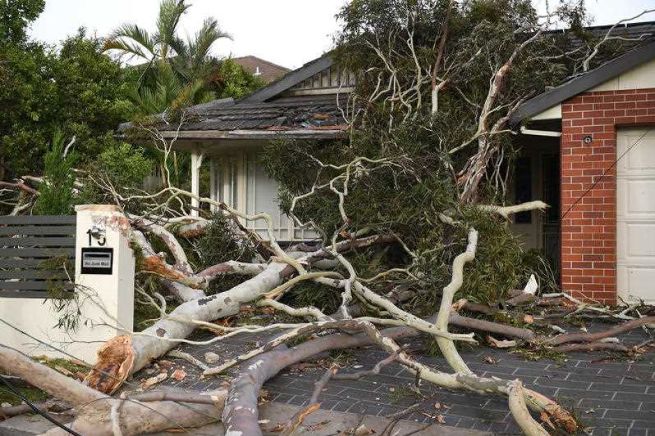 protect your home from storm damage