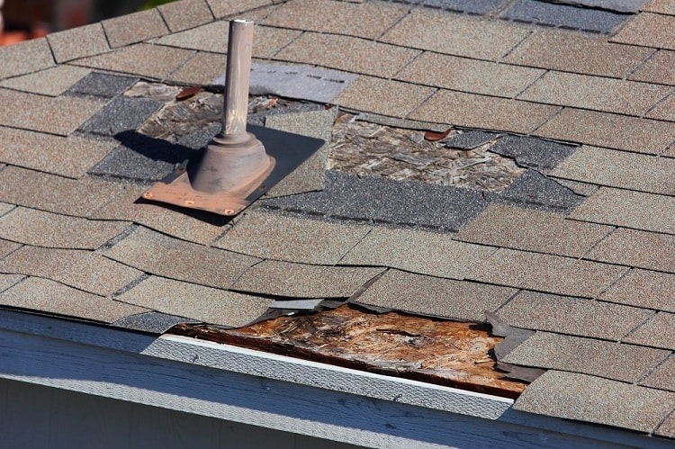 Signs That You Need Roof Repair