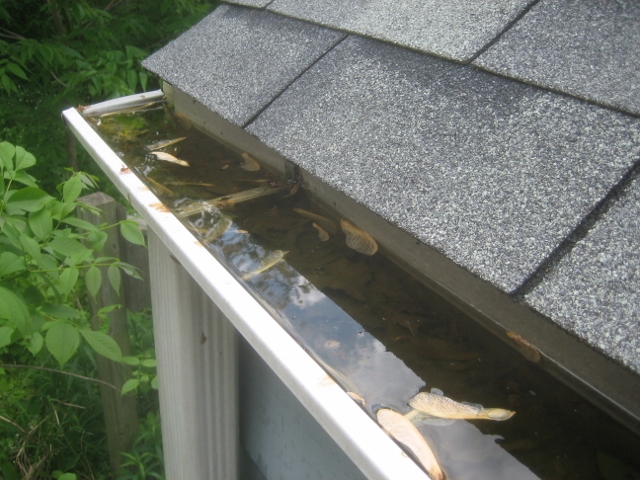 Clogged-Gutters
