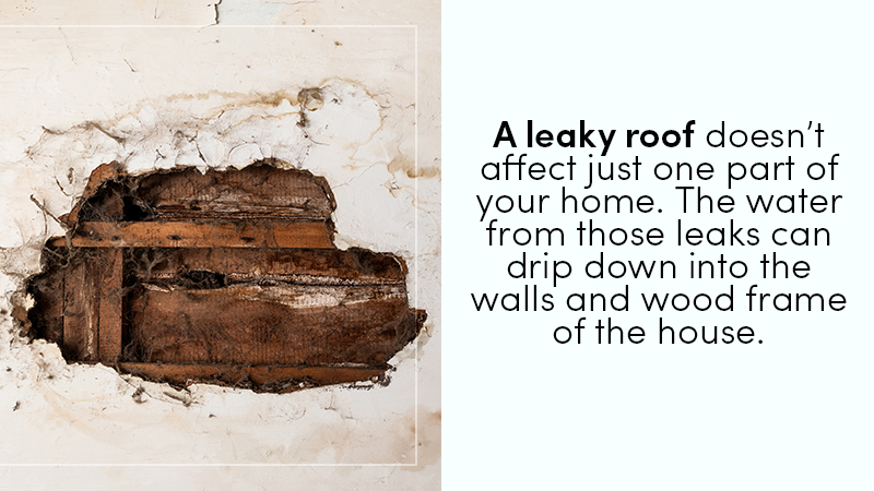 roof leakage repair