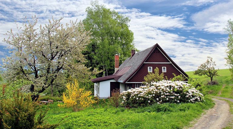 Roof Cleaning Tips in Spring