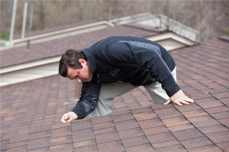 Professional Roof Inspection